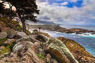 Point Lobos-3268.jpg Point Lobos-3268.jpg